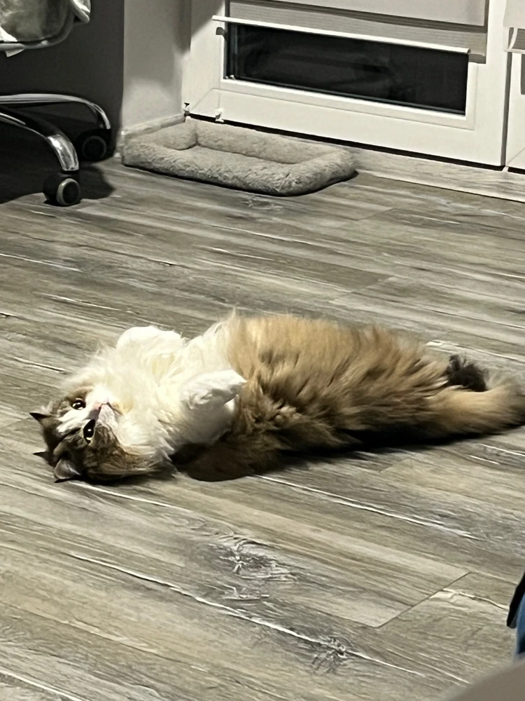 Zdjęcie dodane przez Stasia