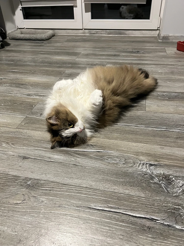 Zdjęcie dodane przez Stasia