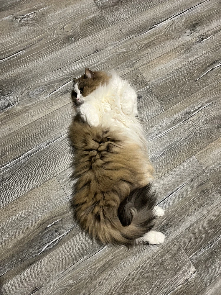 Zdjęcie dodane przez Stasia