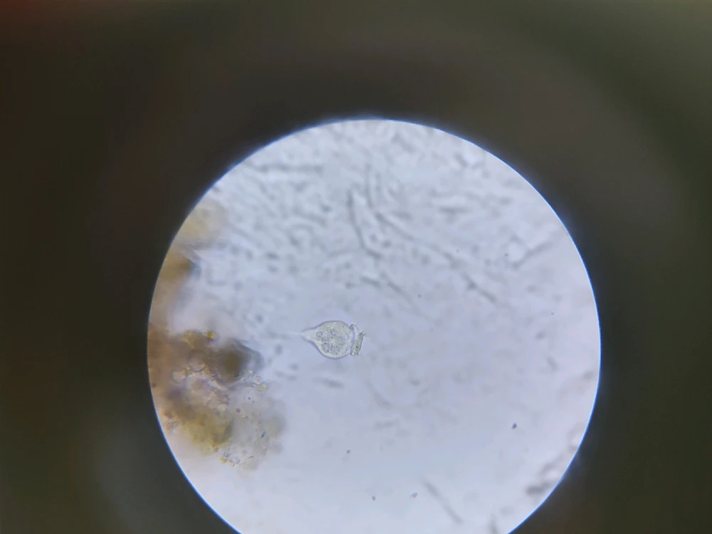 Image uploaded by Jordan Würz