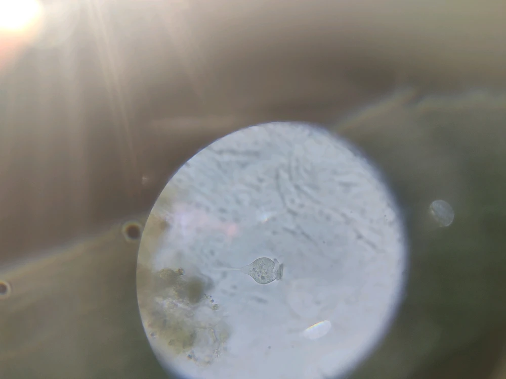 Image uploaded by Jordan Würz