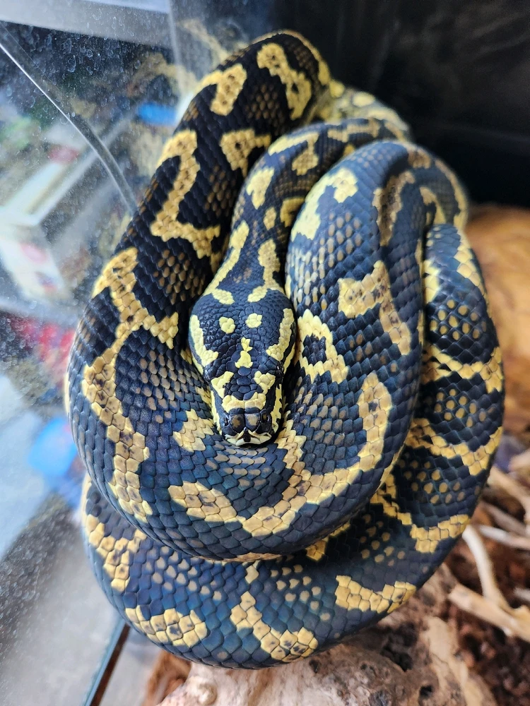 GIF uploaded by Matt