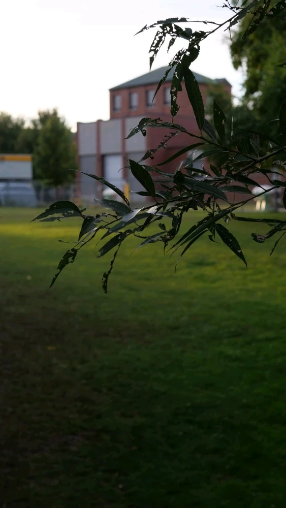 Morteza 上傳的 GIF
