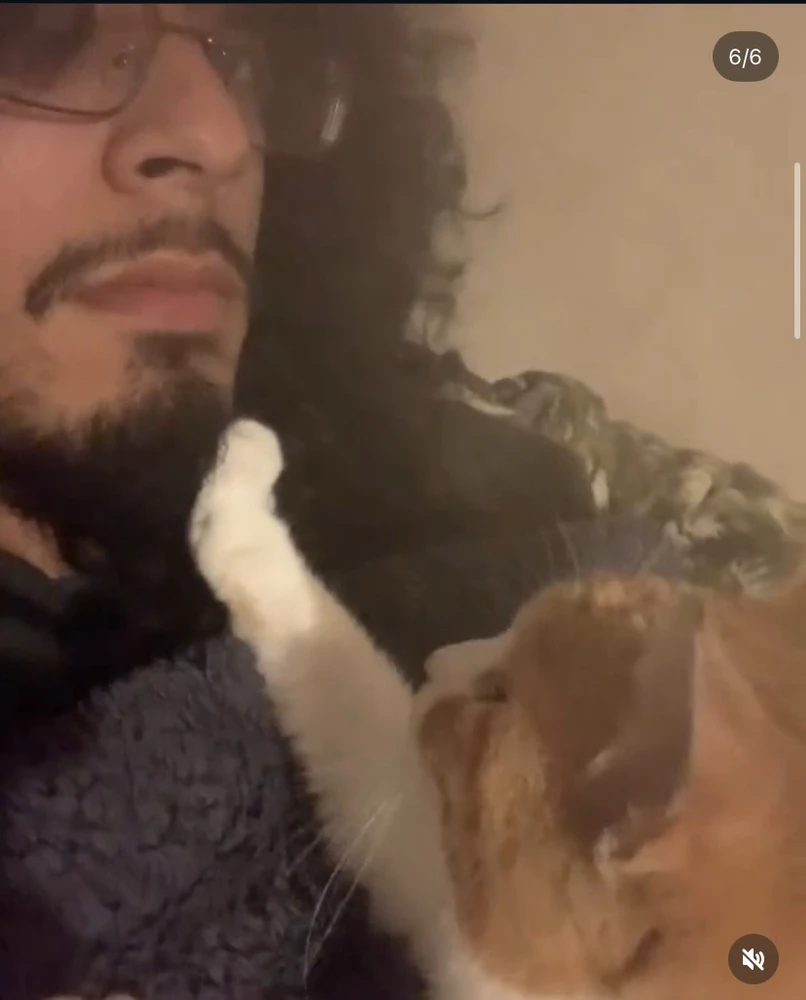 GIF uploaded by Jaime