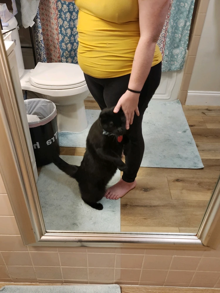 Image uploaded by Tiffany