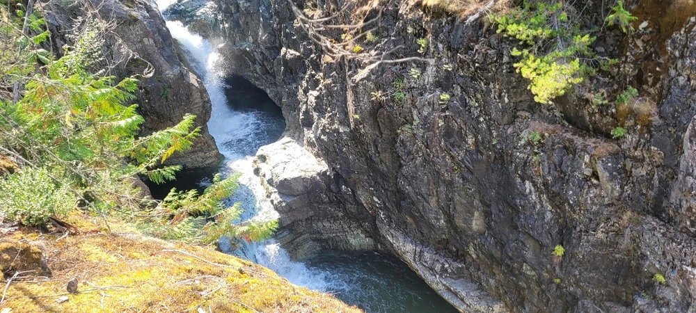 GIF uploaded by Mason