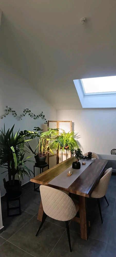 Bon week-end ensoleillé 🌞