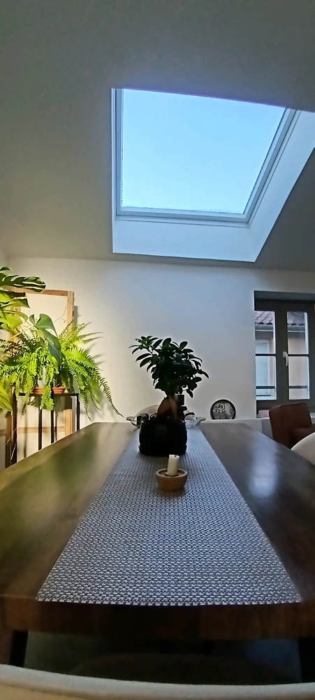 Bon week-end ensoleillé 🌞