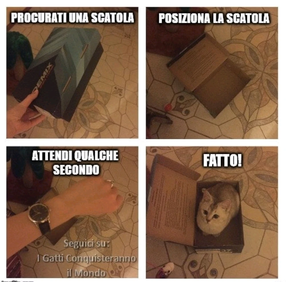 GIF caricata da Nanaki