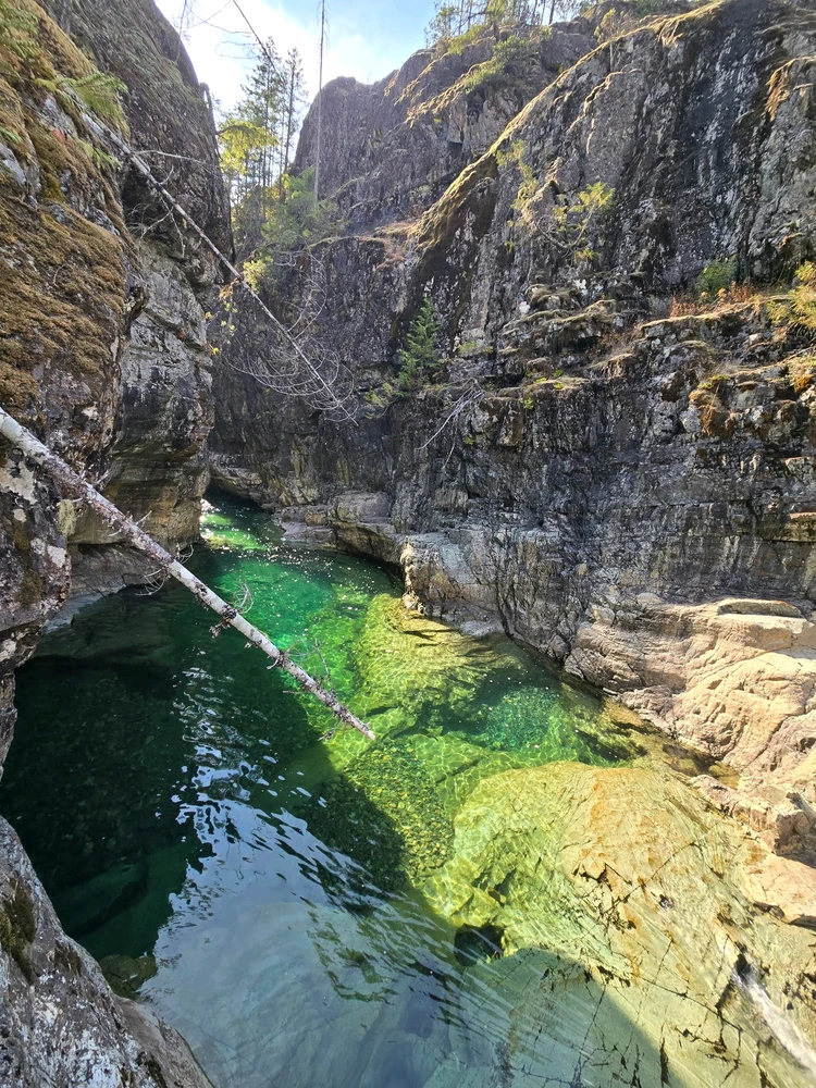 GIF uploaded by Mason