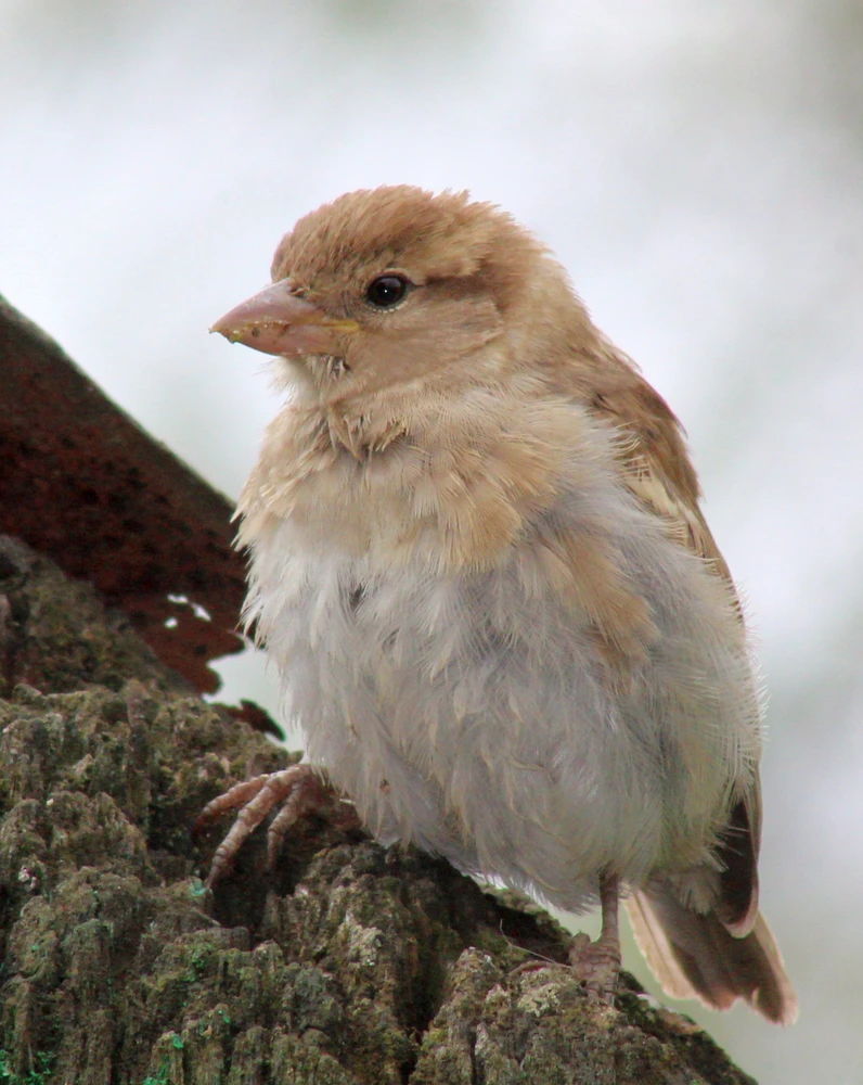 Image uploaded by Tomas