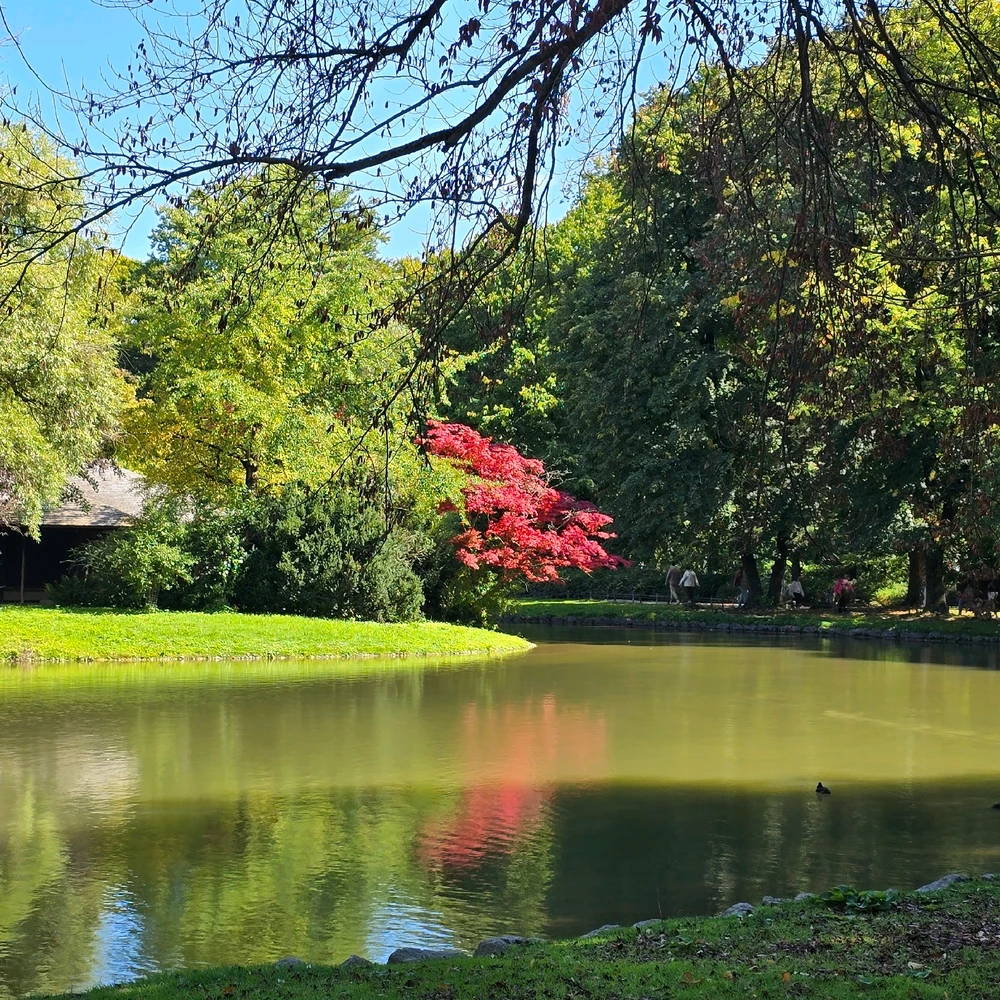 Immagine caricata da Vibo