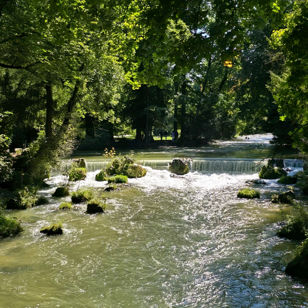 Immagine caricata da Vibo