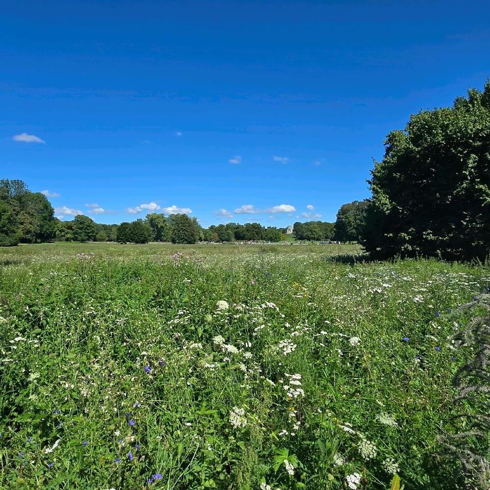 Immagine caricata da Vibo