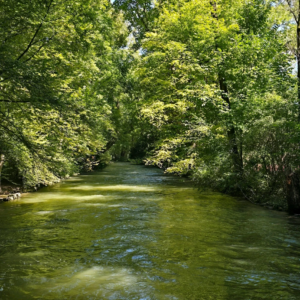 Immagine caricata da Vibo