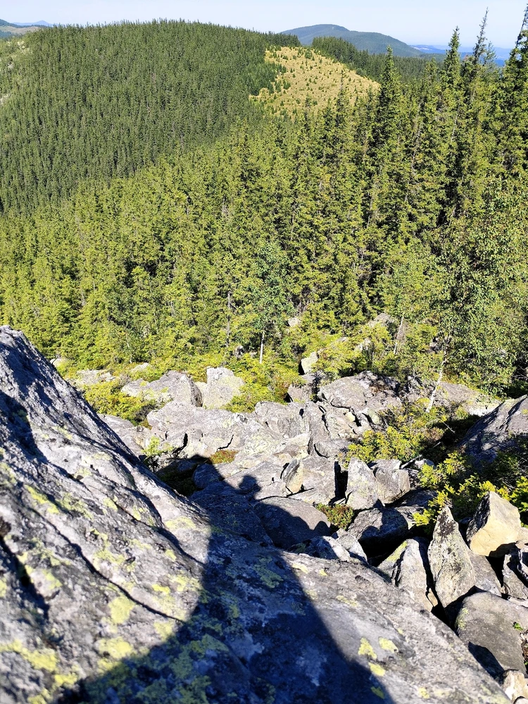 Зображення завантажив Олександр