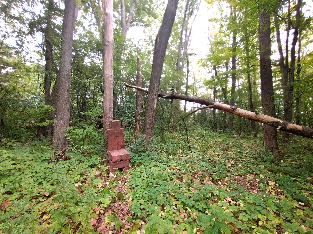 A view of the chair
