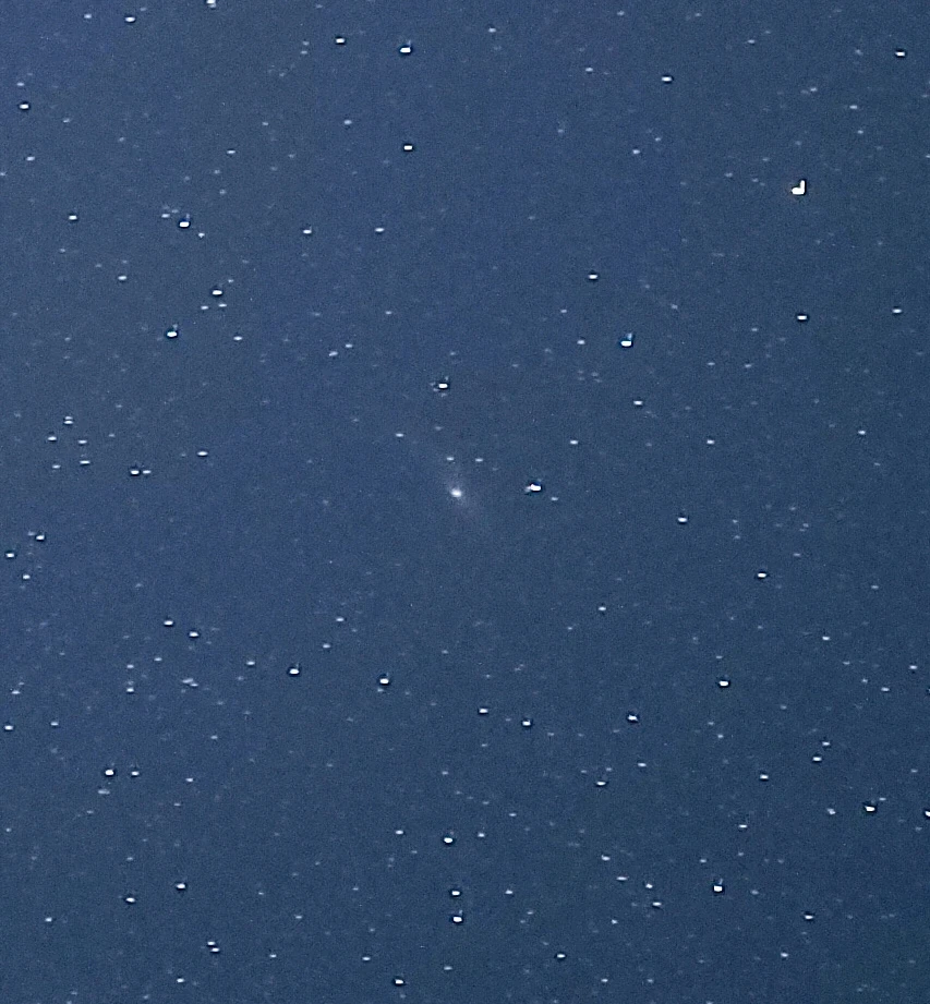 Image uploaded by Ashton