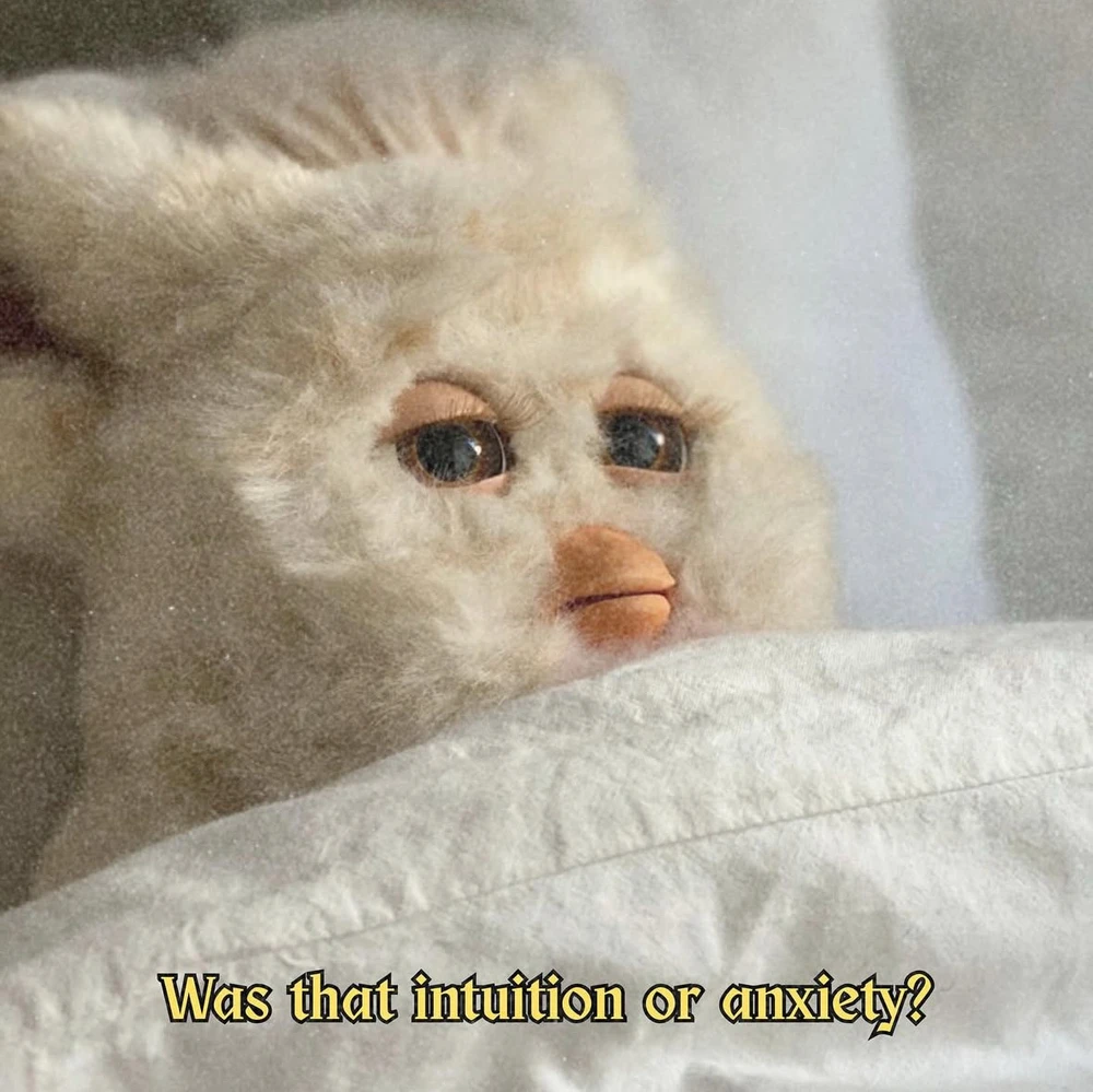 Obrázek nahrál Irónia