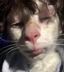 GIF otpremio/la Miloš