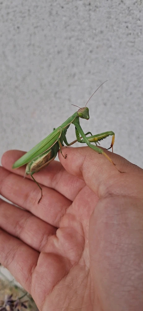 GIF ajouté par Léa