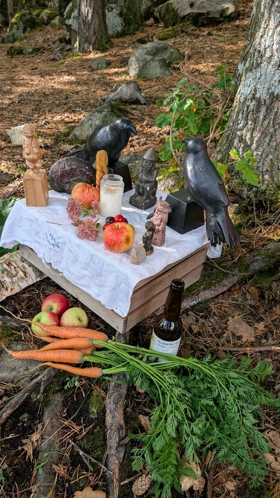 Bild uppladdad av Petter