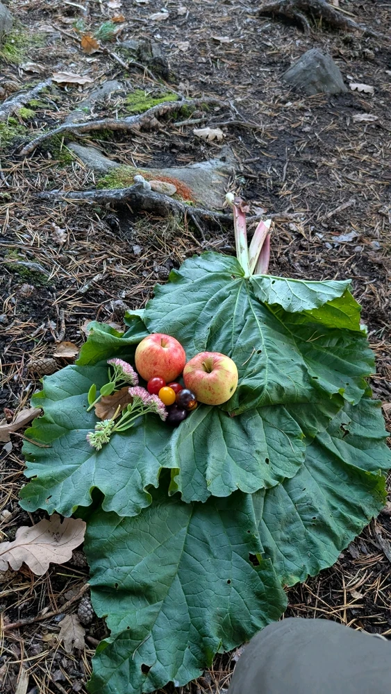 Bild uppladdad av Petter