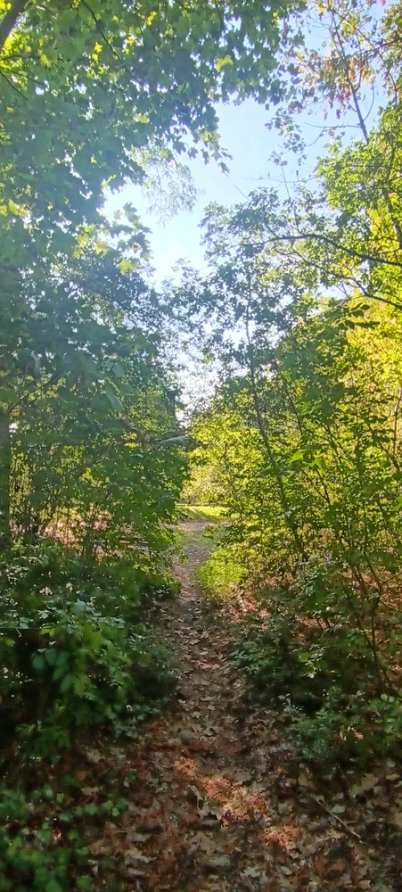 Image ajoutée par Saffiya