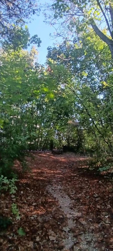 Image ajoutée par Saffiya