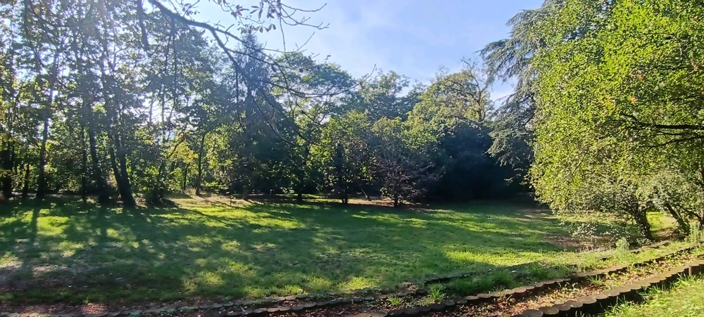 Image ajoutée par Saffiya