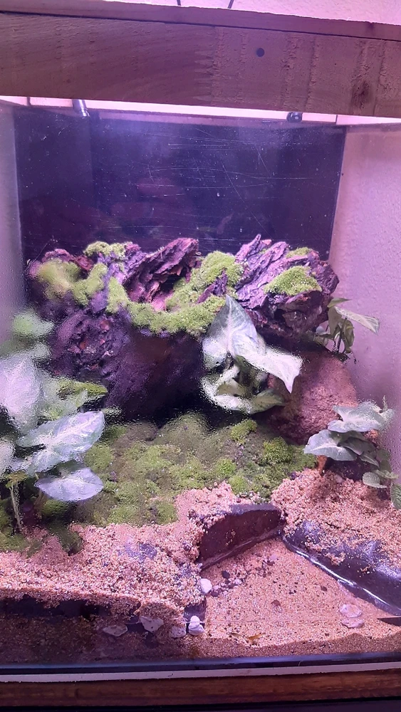 Imagen subida por Walter