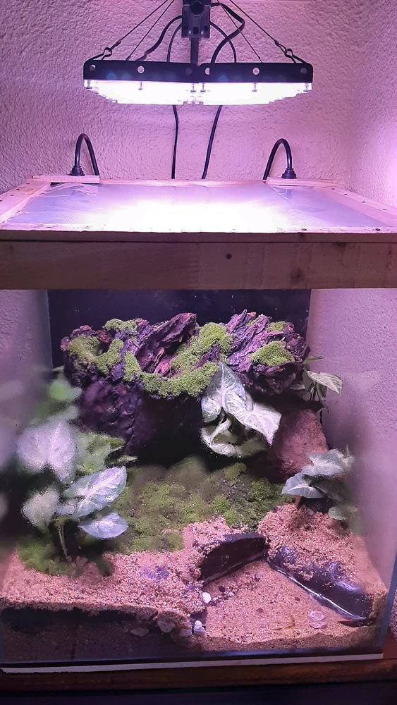 Imagen subida por Walter