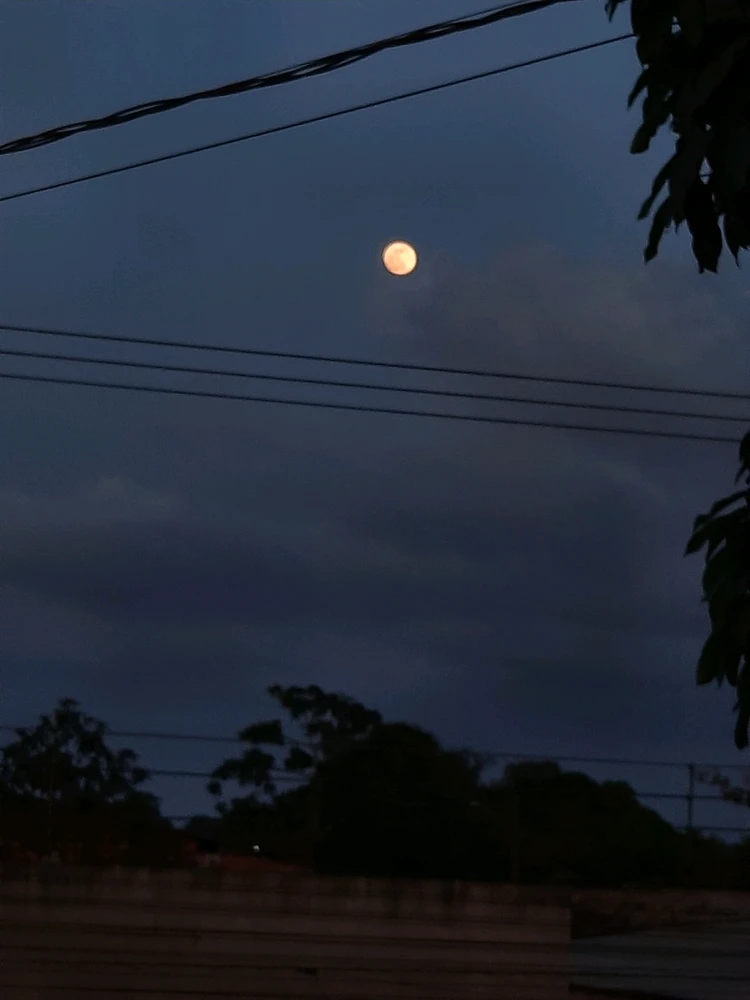 GIF uploaded by Nanda Forseti