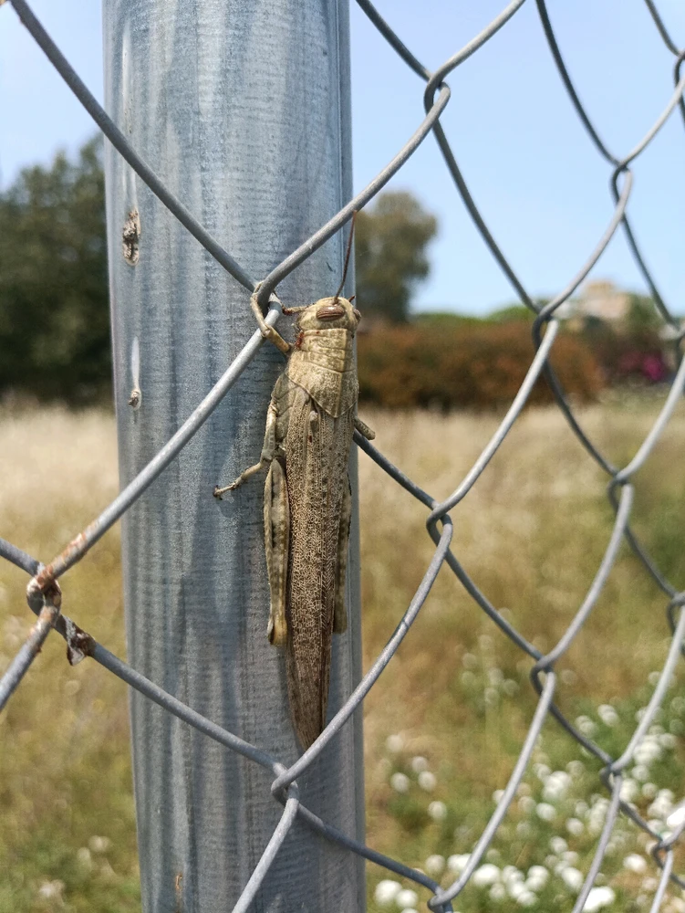 GIF uploaded by Marcos