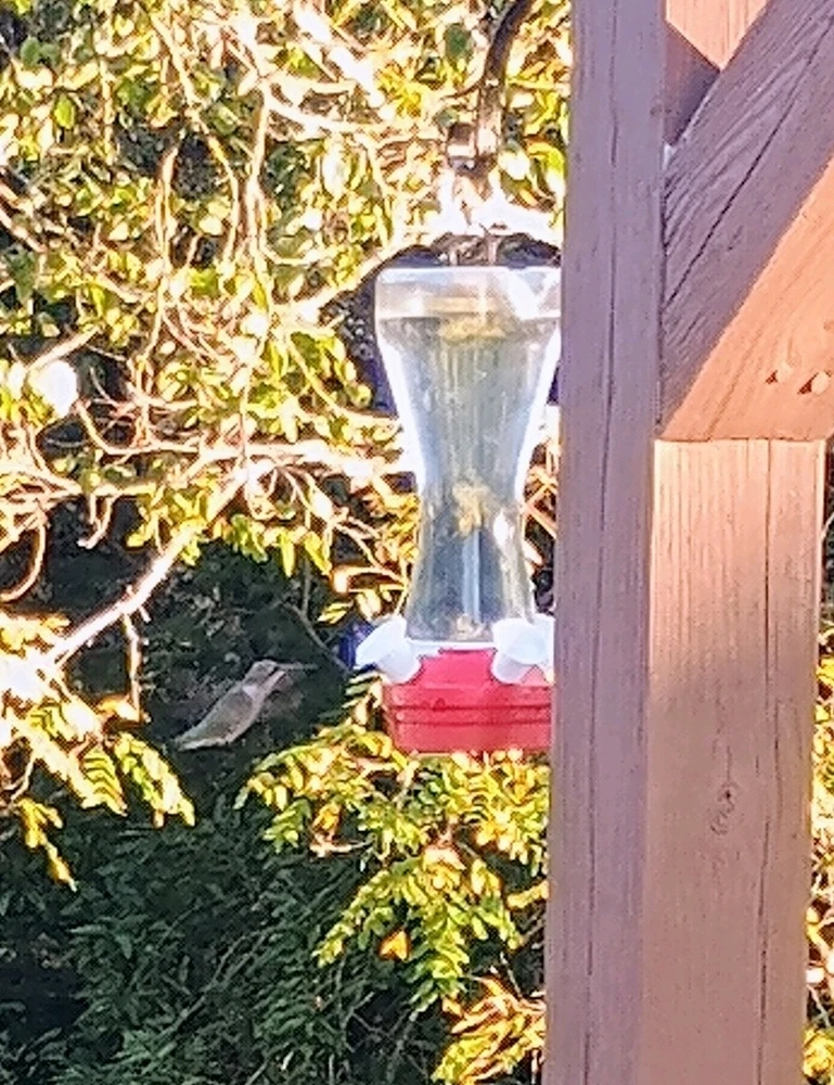 GIF uploaded by Brian