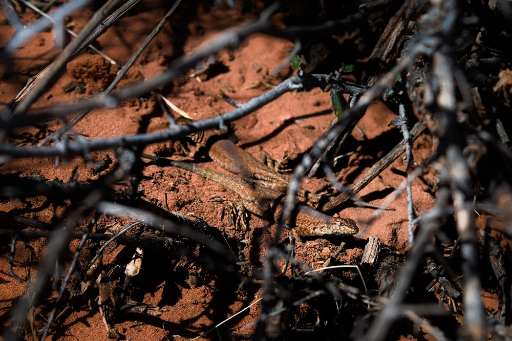 GIF uploaded by Gavin