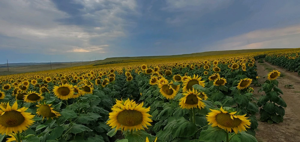 GIF uploaded by Emily