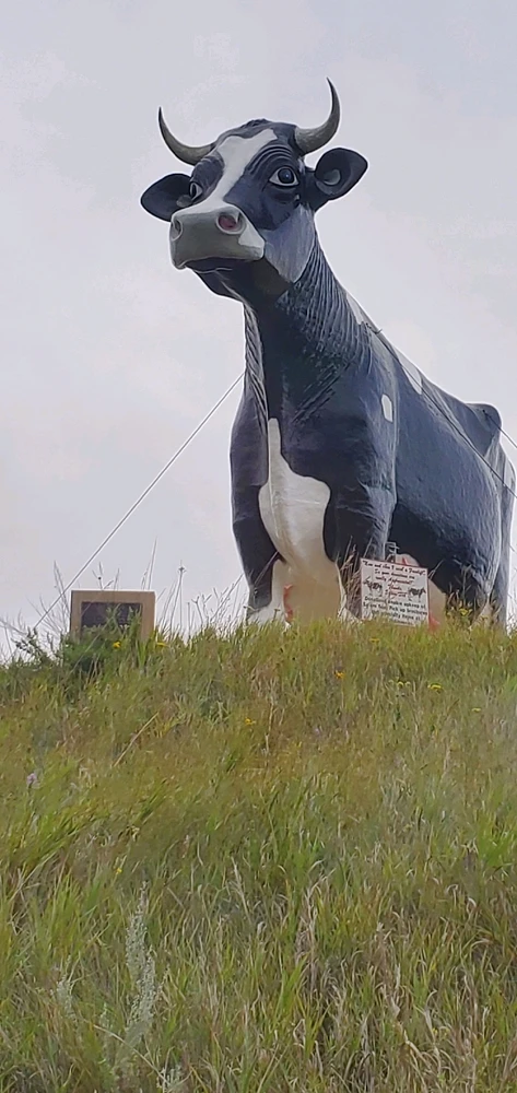 Image uploaded by Emily