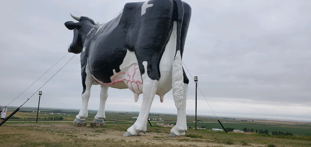 Image uploaded by Emily