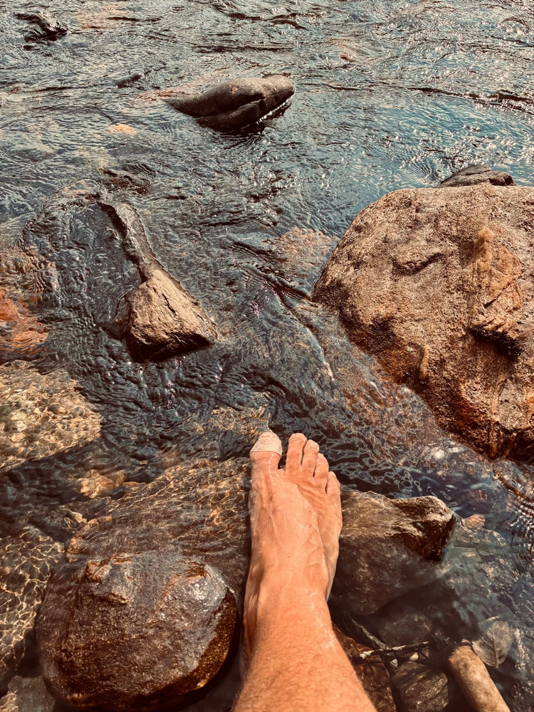 GIF hochgeladen von Tom