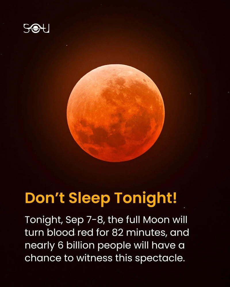 GIF uploaded by OrkoGato