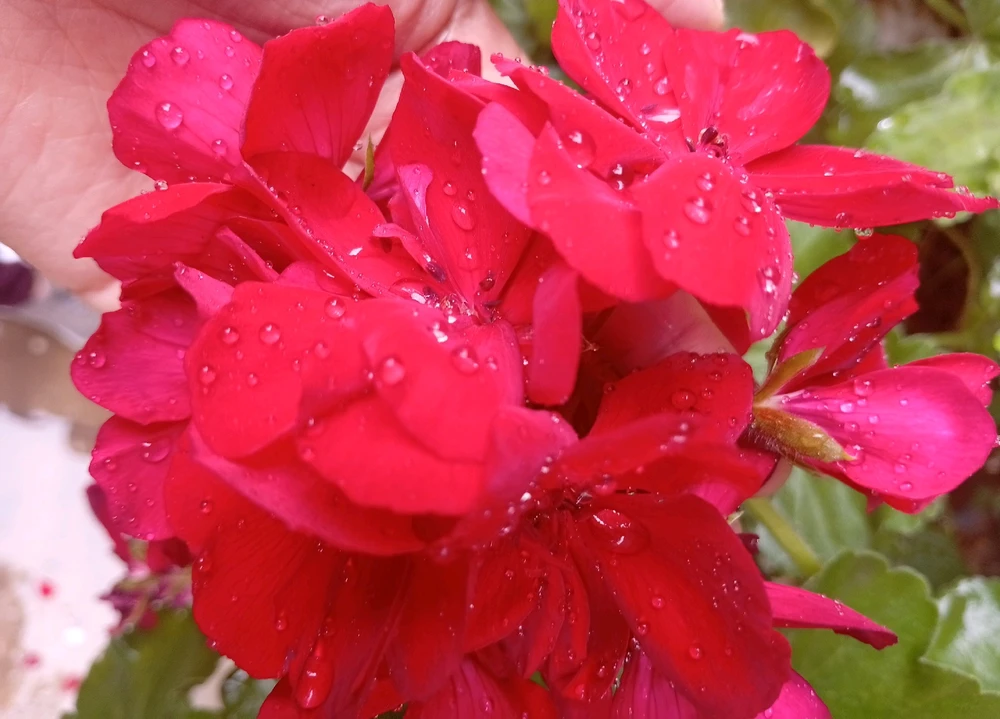 GIF subido por Aliane