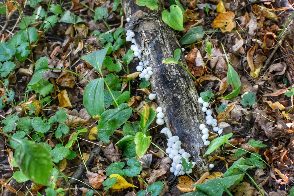 Fotku nahral/-a Lukáš