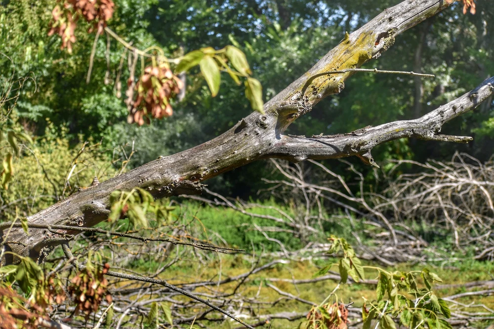 Fotku nahral/-a Lukáš