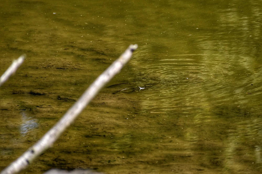 Fotku nahral/-a Lukáš