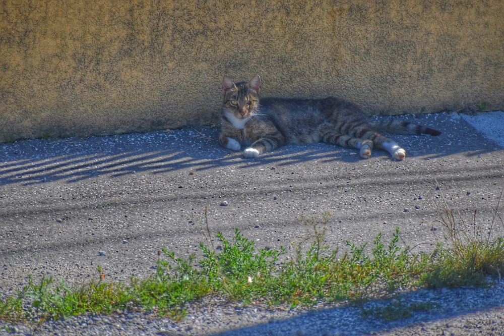 Fotku nahral/-a Lukáš