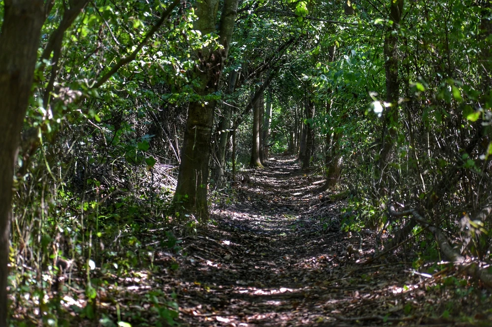 Fotku nahral/-a Lukáš