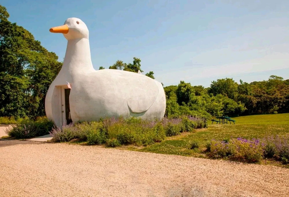 Image ajoutée par Stef