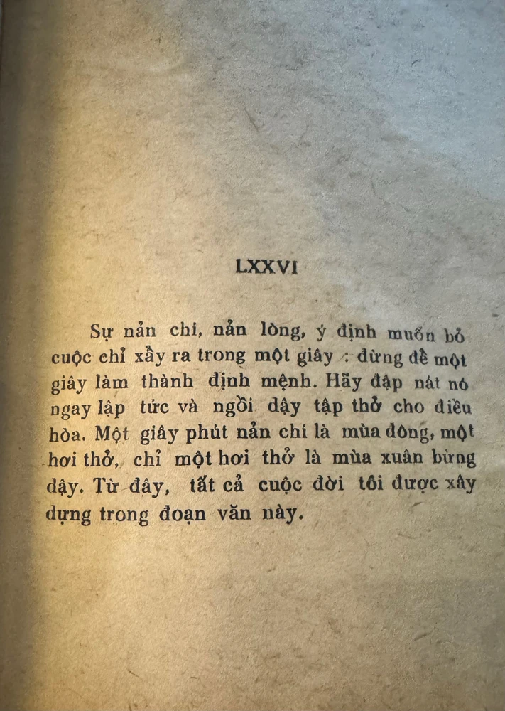 Ảnh do Qui tải lên