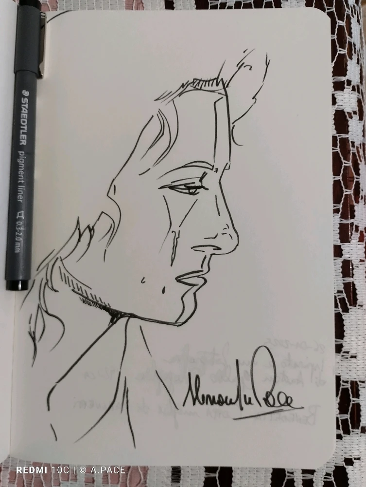 Immagine caricata da Alessandro | alpacigno